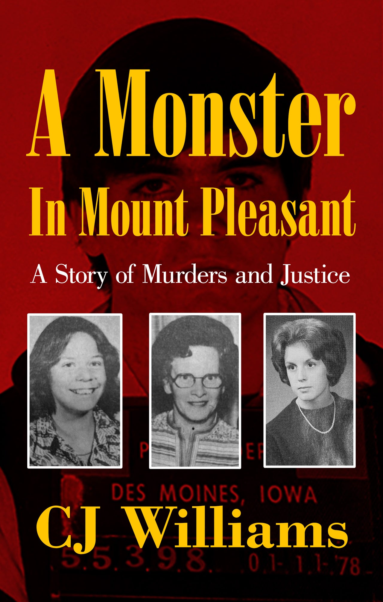 A Monster in Mount Pleasant (Paperback)