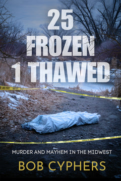 25 Frozen 1 Thawed (Paperback)
