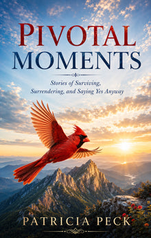 Pivotal Moments (Paperback)