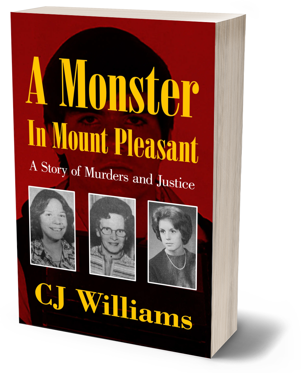 A Monster in Mount Pleasant (Paperback)