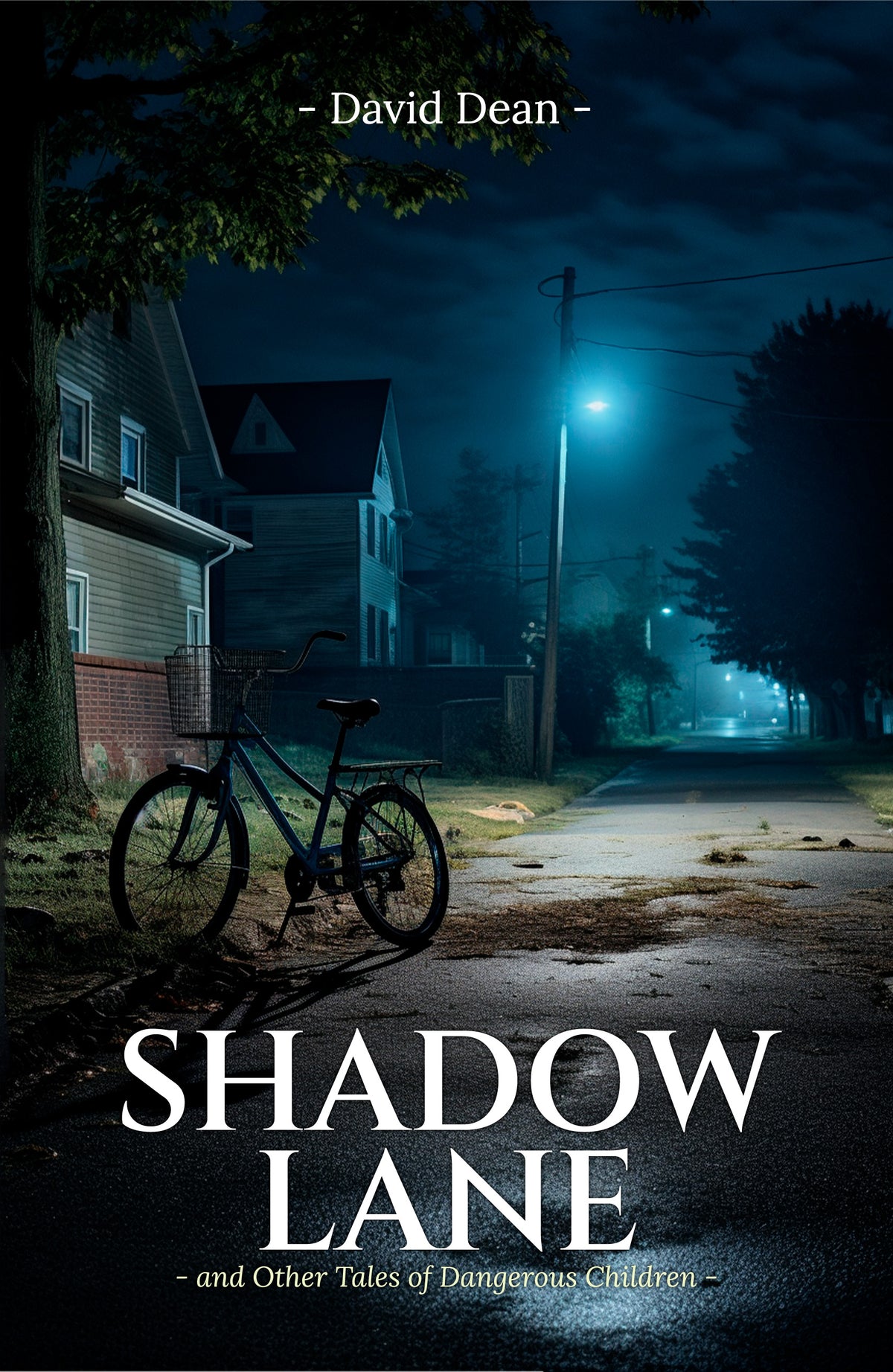 Shadow Lane (Paperback)