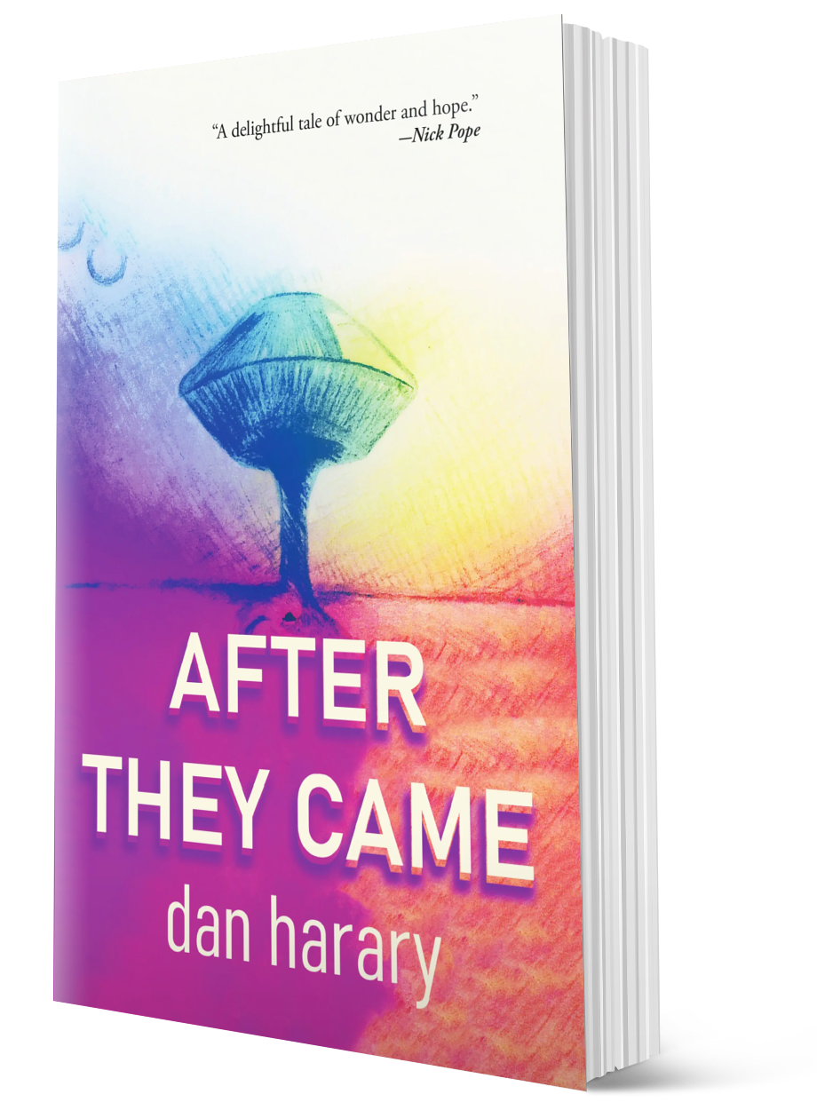 After They Came (Paperback)