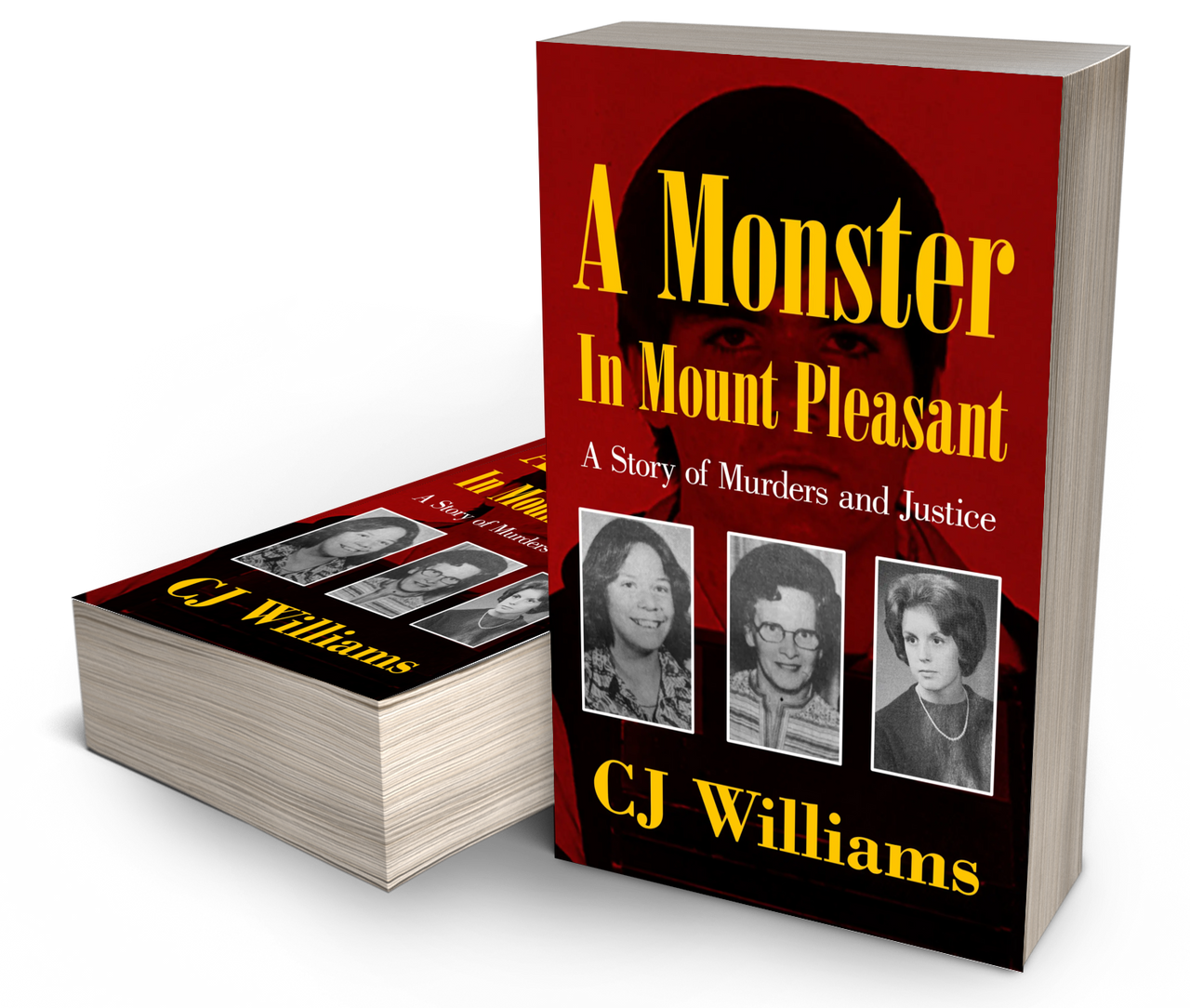 A Monster in Mount Pleasant (Paperback)