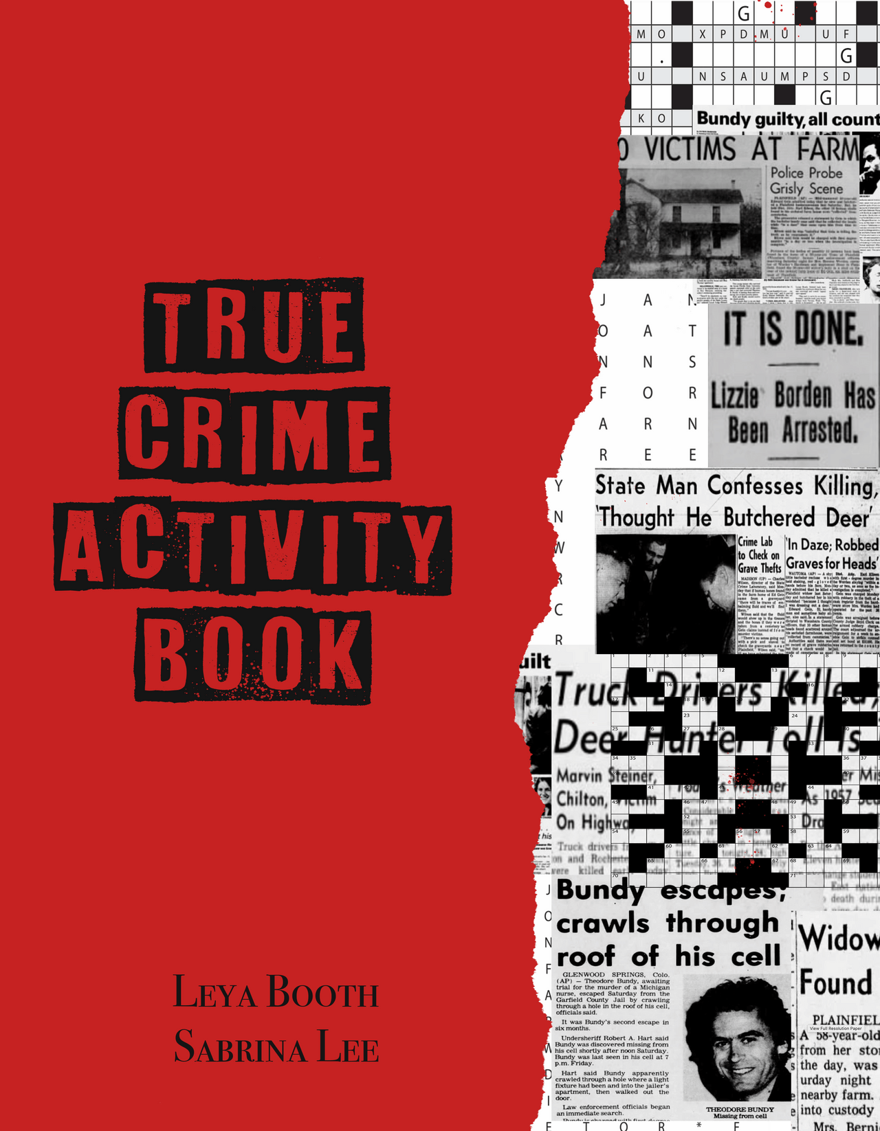 True Crime Activity Book