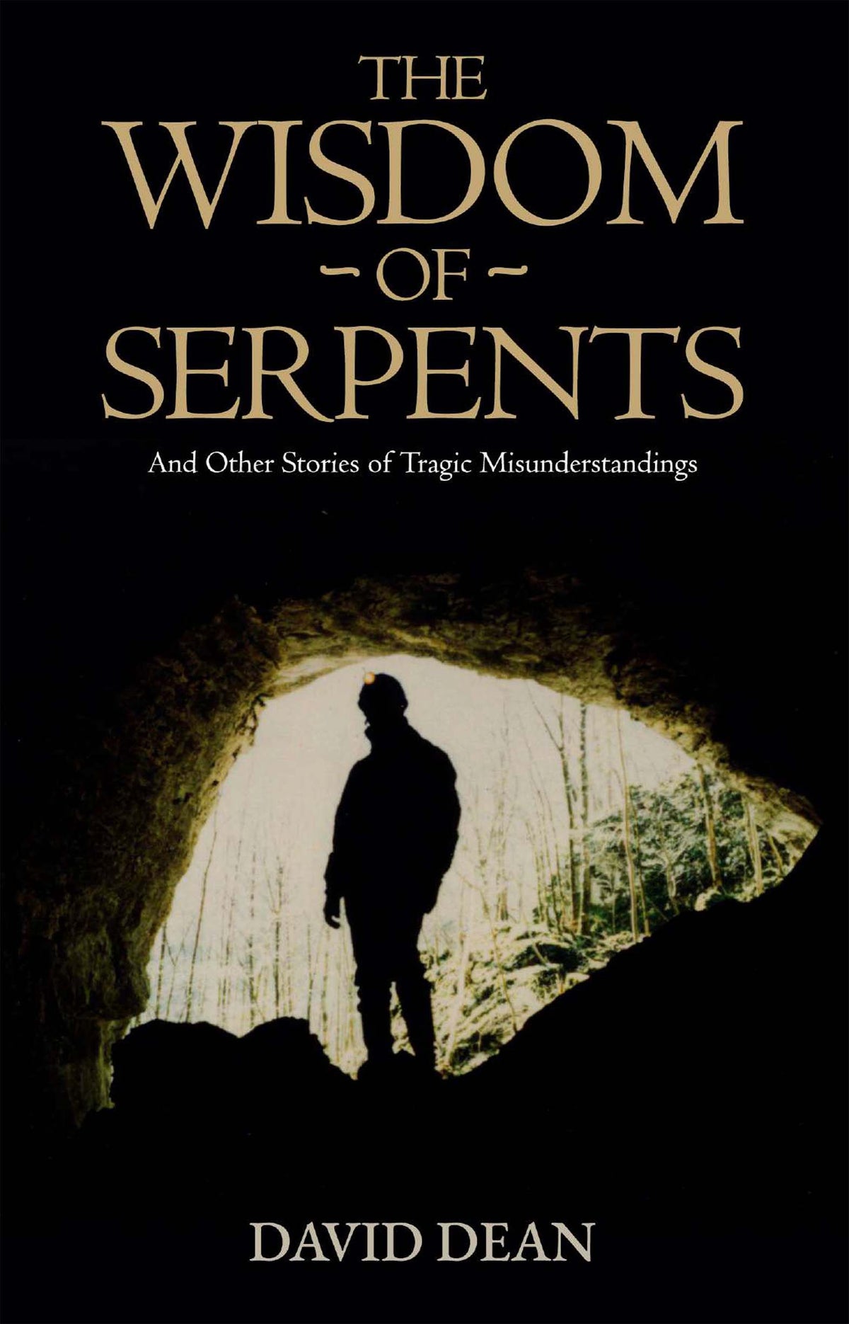 The Wisdom of Serpents (Paperback)