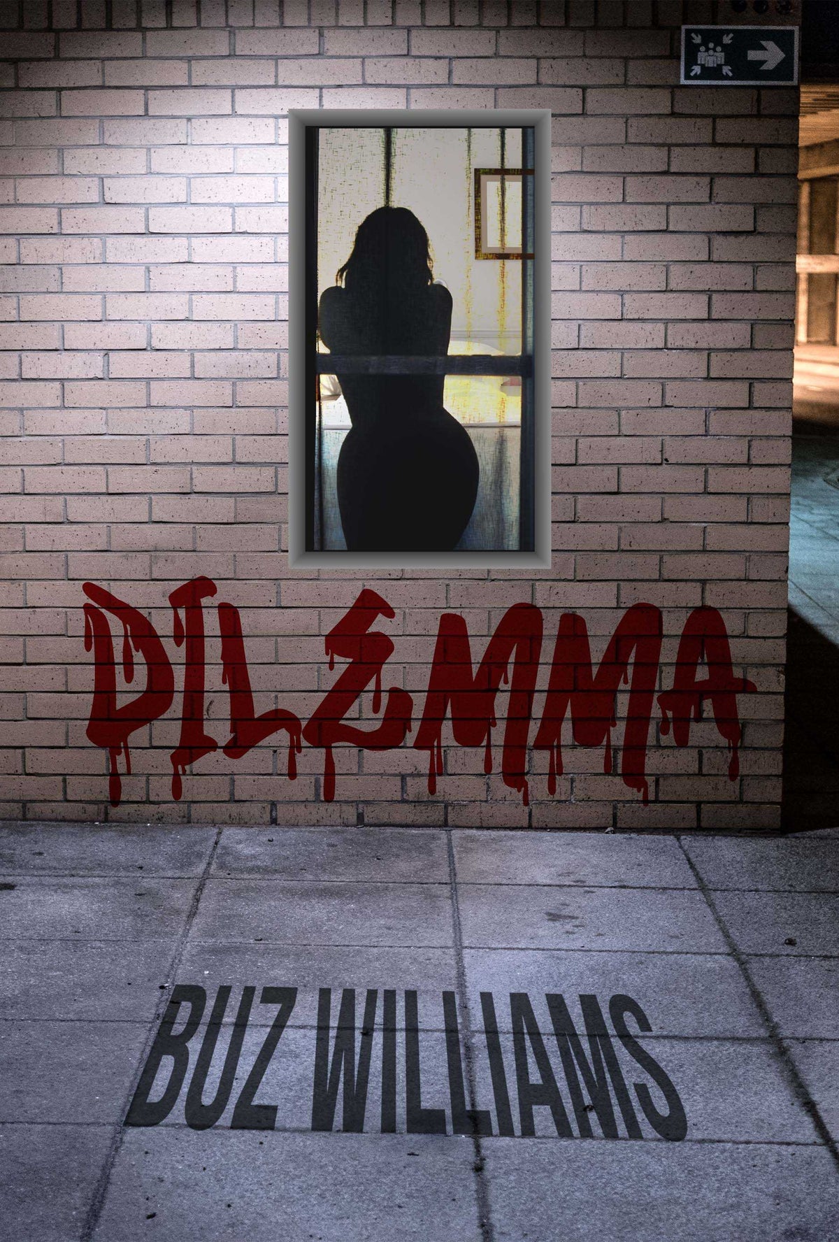 Dilemma (Paperback)
